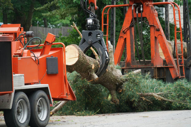 Lawn Watering Services in Mount Pleasant, MI